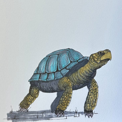 Tortoise, original painting